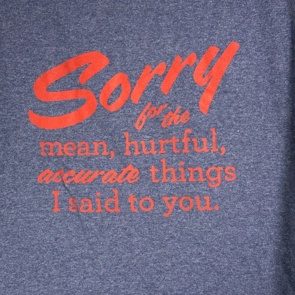 Delta Pro Weight Mens Large Sorry For The Accurate Things I Said Graphic T-Shirt - Picture 2 of 6